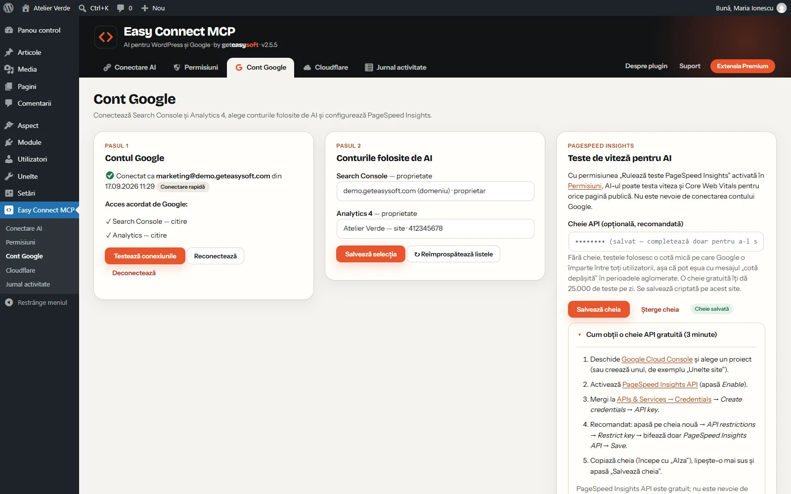 Pagina contului Google, cu autentificare rapidă și cheia API opțională pentru PageSpeed Insights