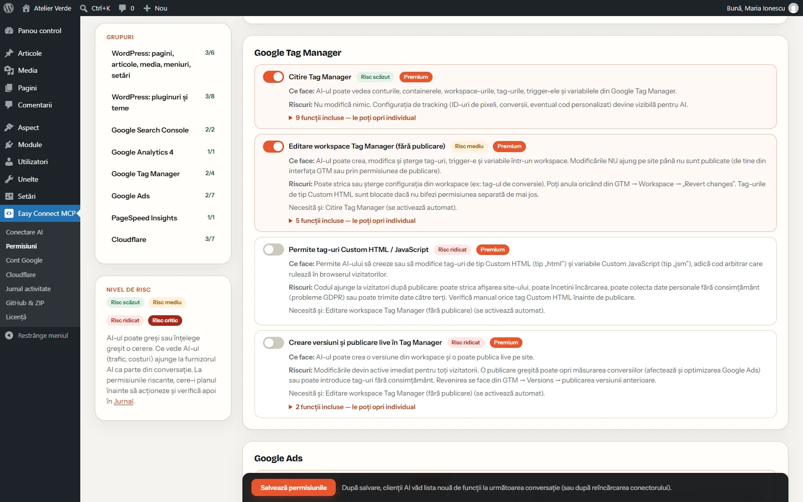 Premium: permisiunile Google Tag Manager