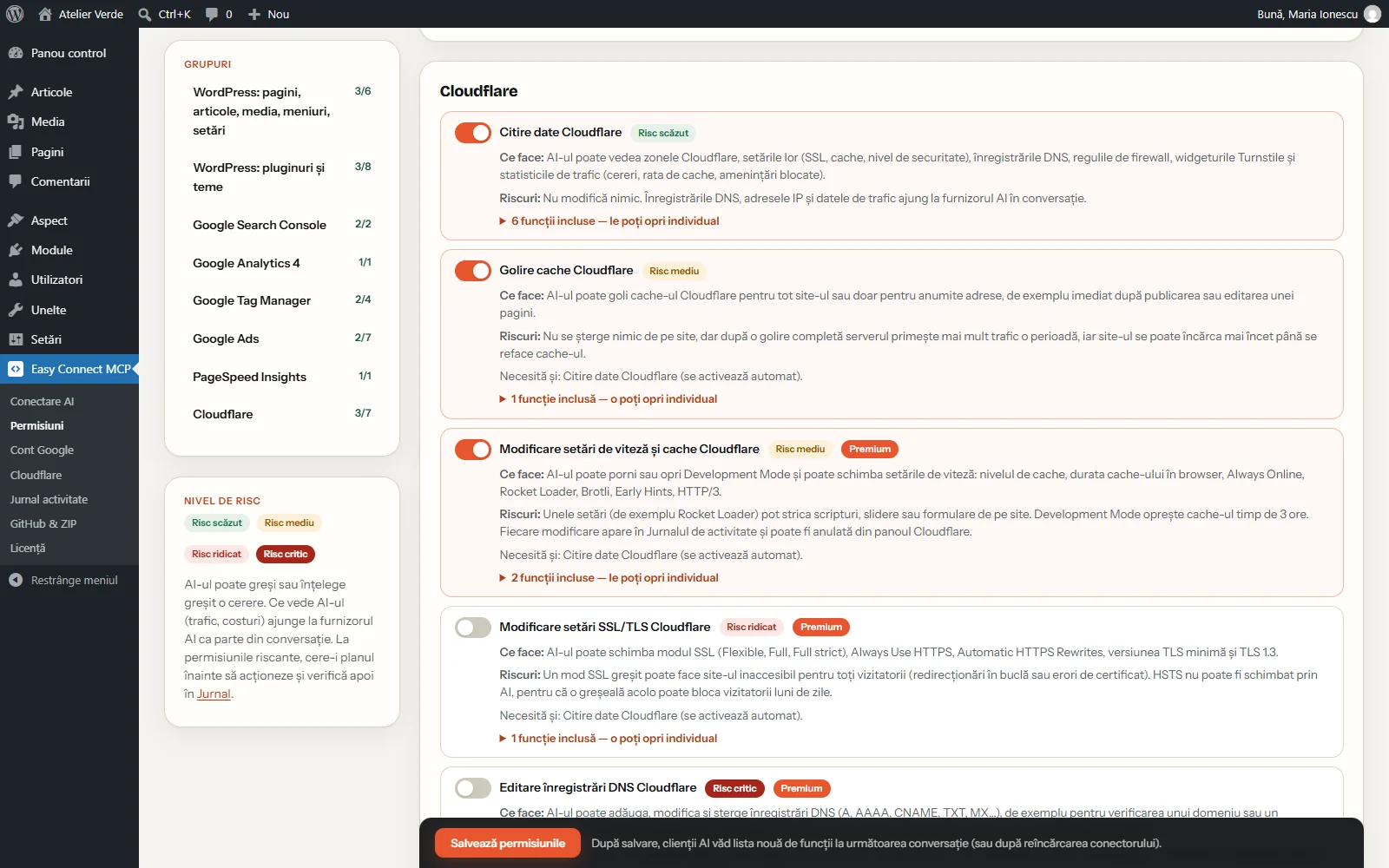 Premium: permisiunile pentru modificări în Cloudflare, cu înregistrări DNS protejate